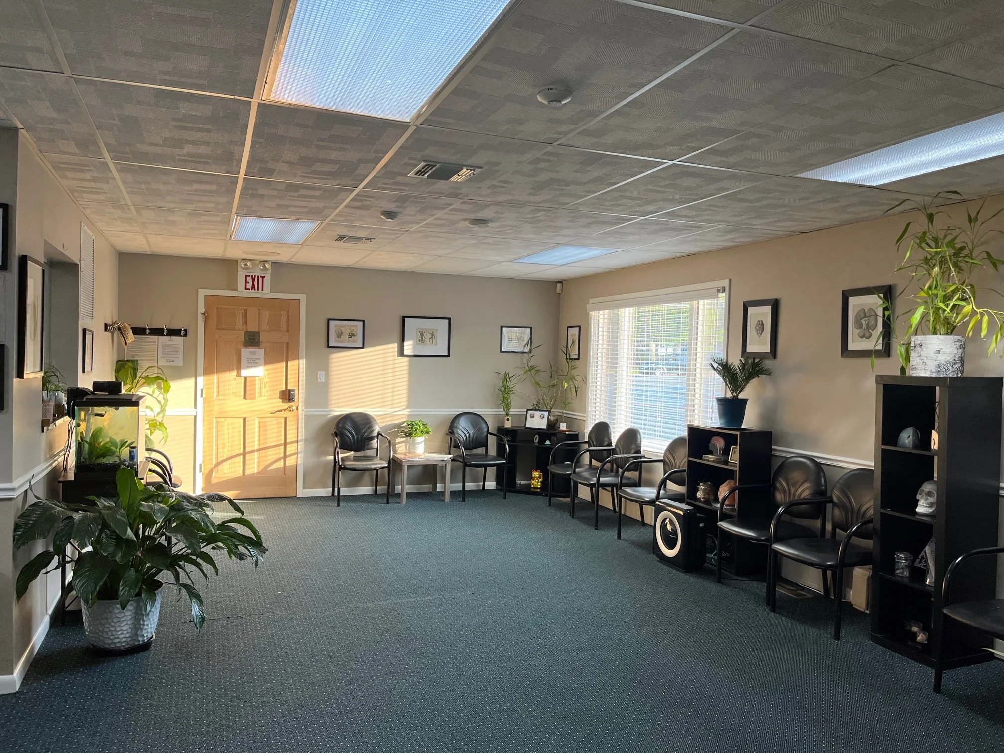East End Neuropsych waiting room — warm, accessible, plant-filled space at our Centereach office